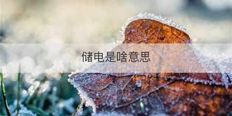 儲電與電瓶電力恢復儀 原理、作用與應用